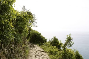 stoned trail overlooking the ocean    